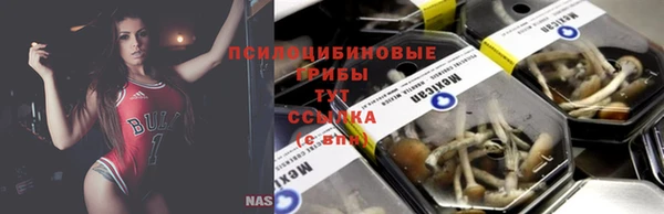 бутират Алзамай