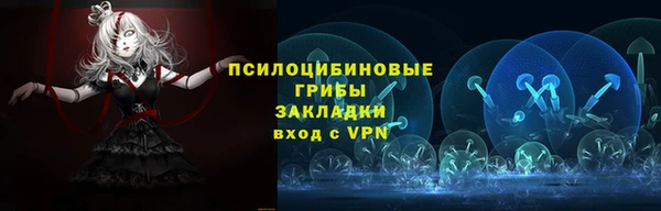 первитин Алексин