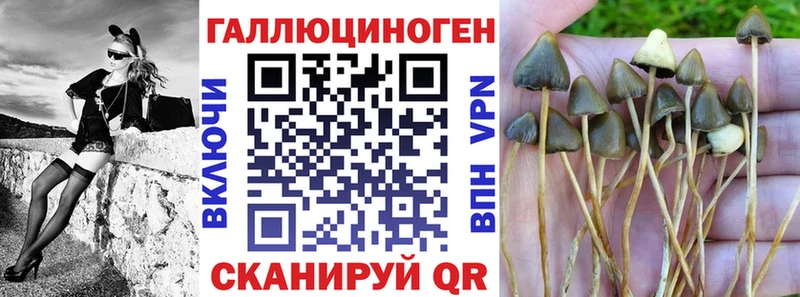 Псилоцибиновые грибы прущие грибы  Мензелинск 